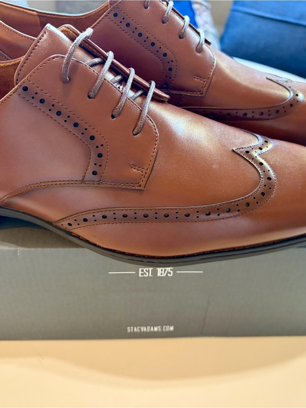 ✨ STACY ADAMS Nichols Wingtip Oxfords in Cognac ✨